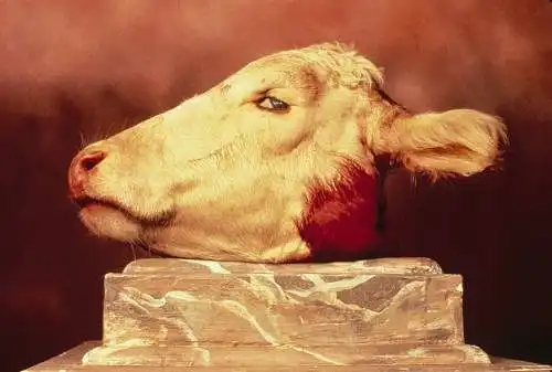 Kokias emocijas jums kelia A. Serrano "Cabeza de Vaca" (1986)?