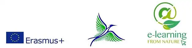 Erasmus+ programos KA2 tarptautinio projekto "E-Learning from Nature" nacionalinis seminaras