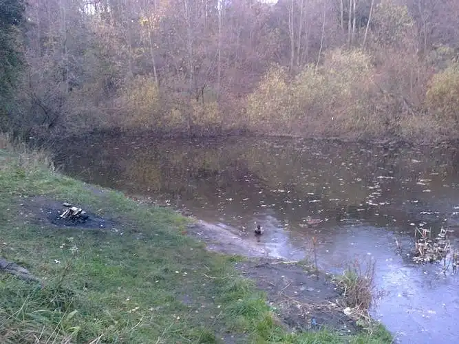 Ar vasarą leistumėte laiką prie sutvarkyto vandens telkinio?