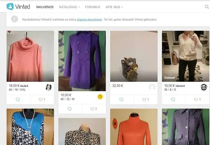 16. Ar pamatę reklamą apie vinted.lt internetinę parduotuvę apsilankote joje? 