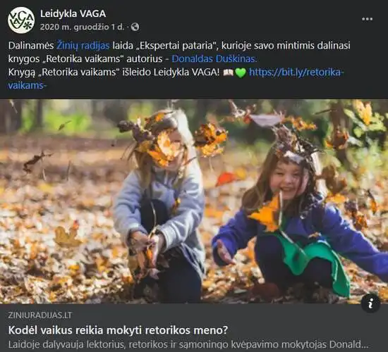 Straipsniai žinių portaluose