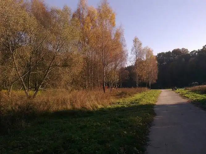 Kaip vertinate šį maršrutą važiuoti dviračių taku?