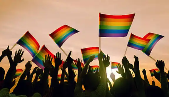 14.Kaip manote, ko siekia homoseksualai rengdami paradus?