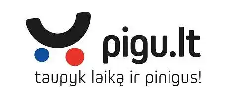 "Pigu.lt" teikiamų paslaugų kokybės tyrimas 
