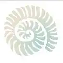 6. Ar esate matę šitą logotipą?