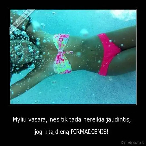 Kiek laiko skiriate savo atostogoms?