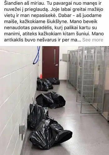 3. Ar esate matę šį įrašą internete?