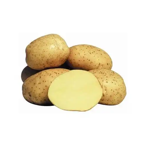 Bulvės