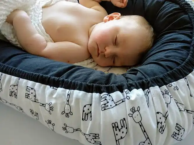 Kiek www.babycasual.com parduotuvėje kainuoja kūdikio lizdelis?