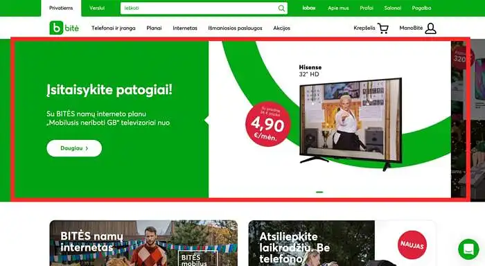 Pagrindinis interneto svetainės vizualas (parodytas raudonu apvadu) Jums labiausia patinka