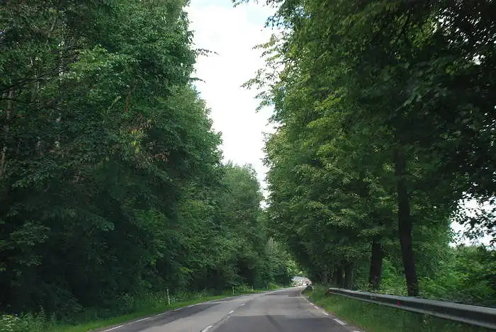 Įvertinkite vaizdą Nr. 13