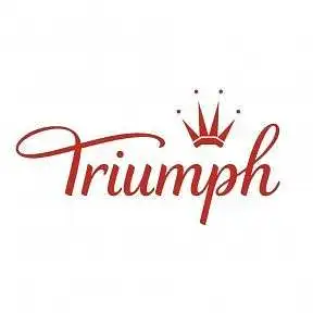 3. Ar esate girdėjęs/usi apie prekės ženklą TRIUMPH?