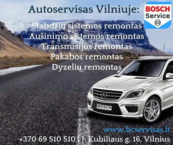 Automobilių servisas Vilniuje BOSCH klausia: su kokiomis problemomis susiduriate autoservisuose?  