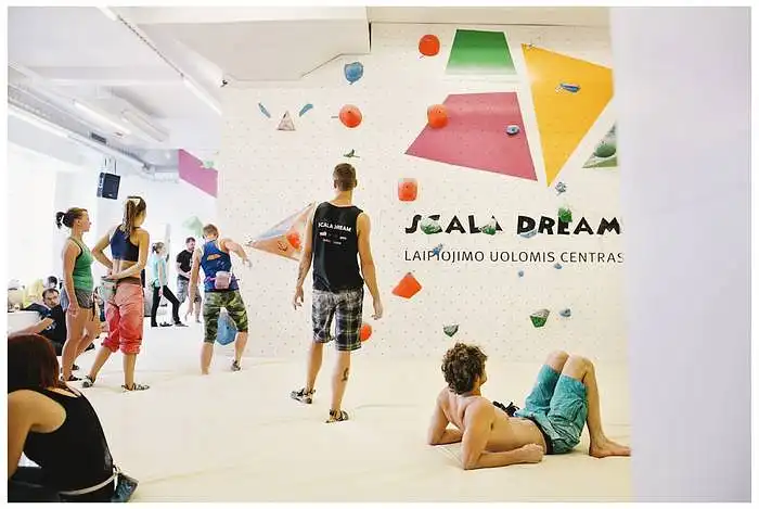 Klaipėdos laipiojimo uolomis centro "Scala dream" reklaminės veiklos efektyvumo analizė