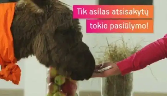 Ką pagalvojate, pamatę tokią reklamą?