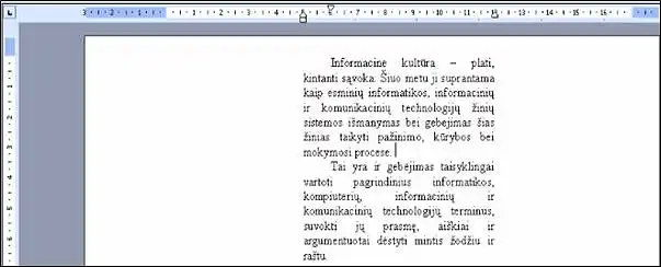 18. Kaip suformatuotas pavaizduotas tekstas?