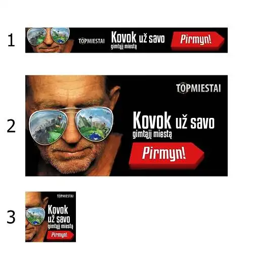 12. Koks Jūsų manymu reklamos dydis yra normalus svetainėse?