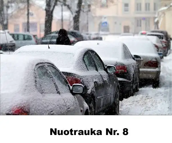 Ką iliustruoja nuotrauka Nr. 8? Savo atsakymą pagrįskite.