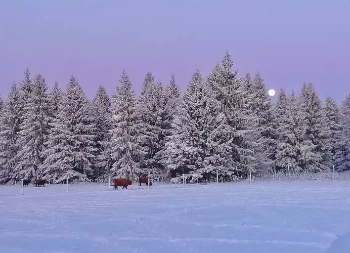 Turite savo ūkį ar planuojate įkurti? 