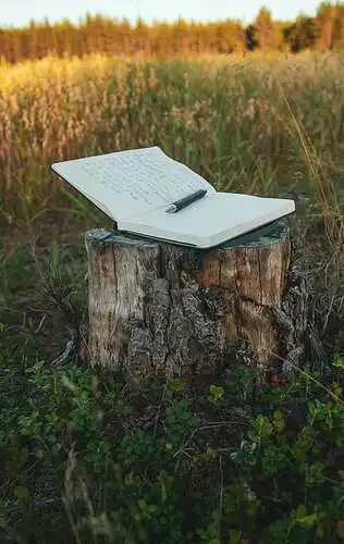 Ar įdomus puslapis, kuriame talpinami eilėraščiai?