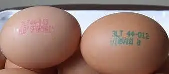 Parduodami kiaušiniai yra ženklinami raidėmis ir skaičiais (pav.), jei žinote, užrašykite, kokiu ženklu žymima, kai vištos yra laikomos narvuose