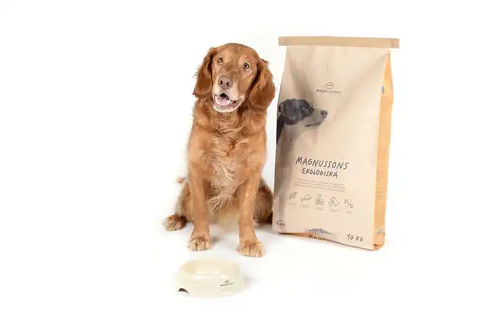 SOFINUKAI - MAGNUSSONS PET FOOD: Kur ir kaip pagamintas šunų maistas jums atrodo patikimiausias? (Atsakymams sugaišite tik 3 minutes)