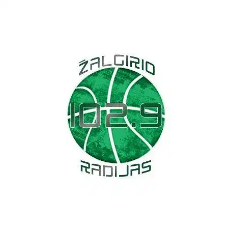 Žalgiris - Brose Baskets