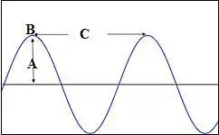 15. Kurie bangos elementai pavaizduoti?