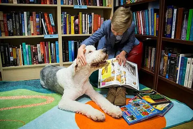 Įvertinkite šiuos teiginius apie bibliotekoje teikiamą paslaugą - vaikų knygų skaitymus su terapiniais šunimis: