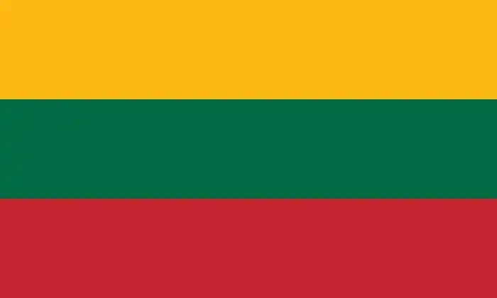 Challenges to settle in Lithuania