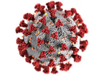 COVID-19 antikūnių testas (Coronavirus SARS-CoV-2-anti-S) namų sąlygomis