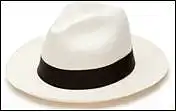 23. Iš kurios valstybės kilo šios kepurės?