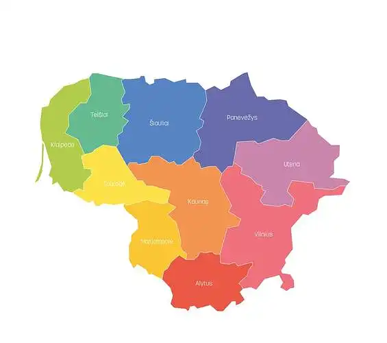2. Which city you have chosen to move in Lithuania?