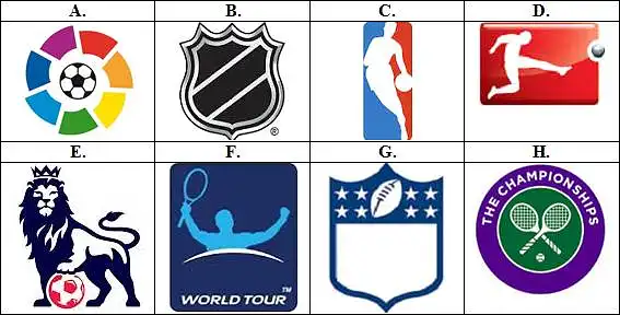 33. Kurių sportinių turnyrų (lygų) logotipai pavaizduoti?
