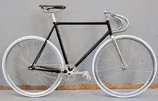 10. Ar Jums svarbu renkantis dviratį, kad jis būtų stilingas, išsiskiriantis?