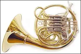 13. Kuris tai muzikos instrumentas?